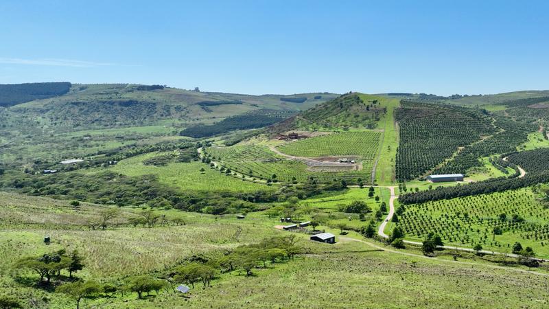 0 Bedroom Property for Sale in Mount Verde KwaZulu-Natal