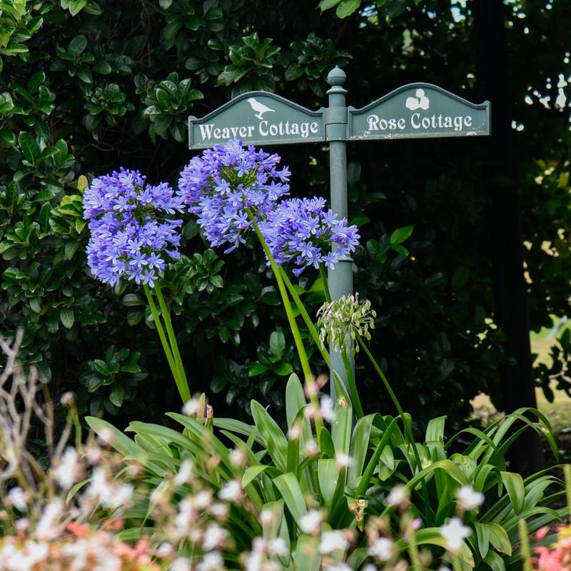 3 Bedroom Property for Sale in Dargle KwaZulu-Natal