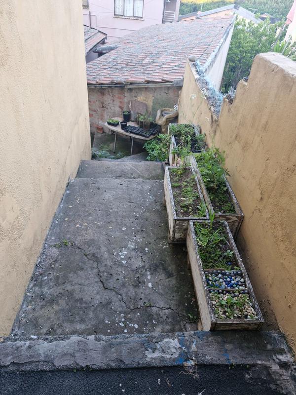 4 Bedroom Property for Sale in Montford KwaZulu-Natal