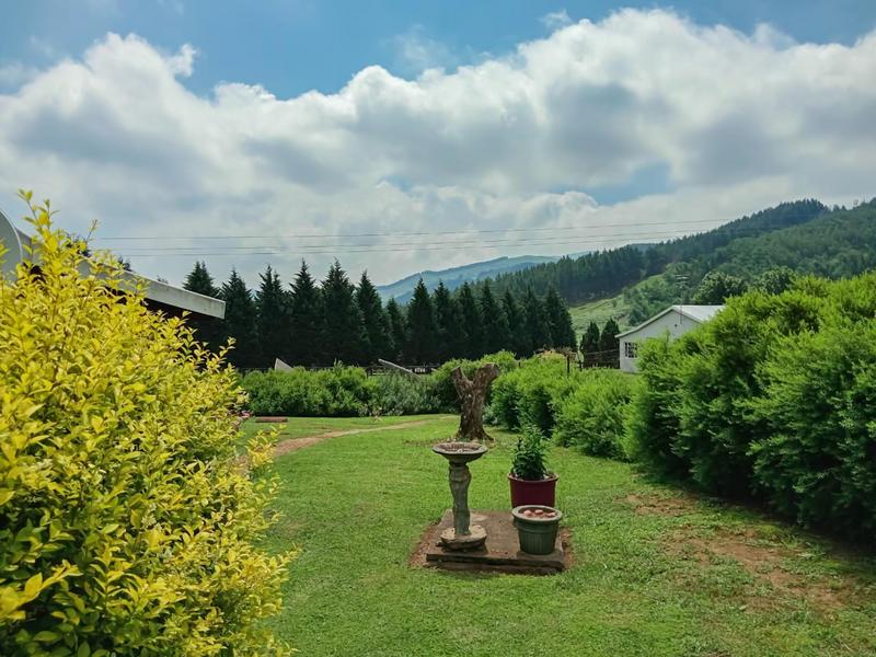 Commercial Property for Sale in Bulwer KwaZulu-Natal