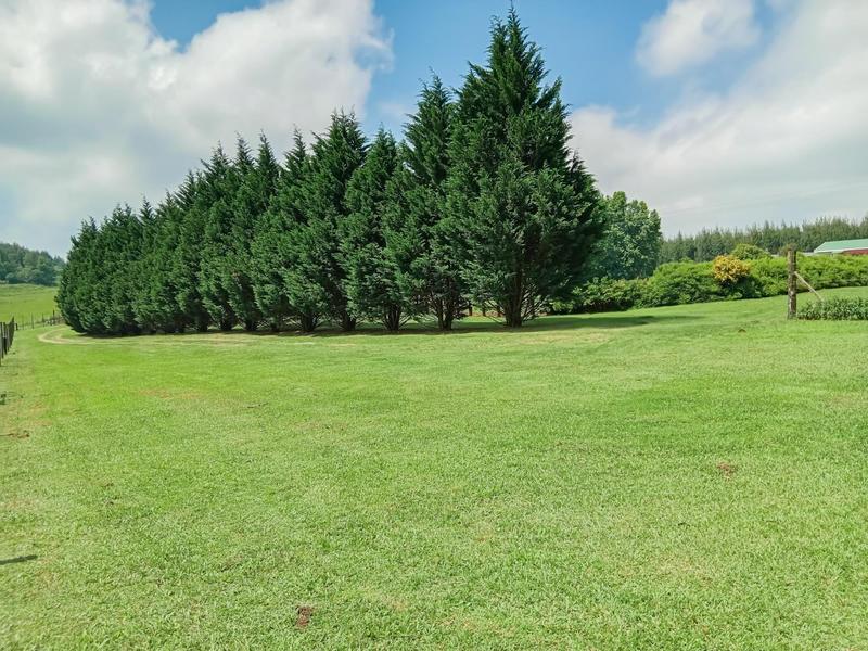 Commercial Property for Sale in Bulwer KwaZulu-Natal