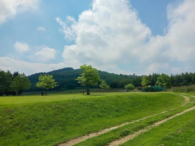 Commercial Property for Sale in Bulwer KwaZulu-Natal