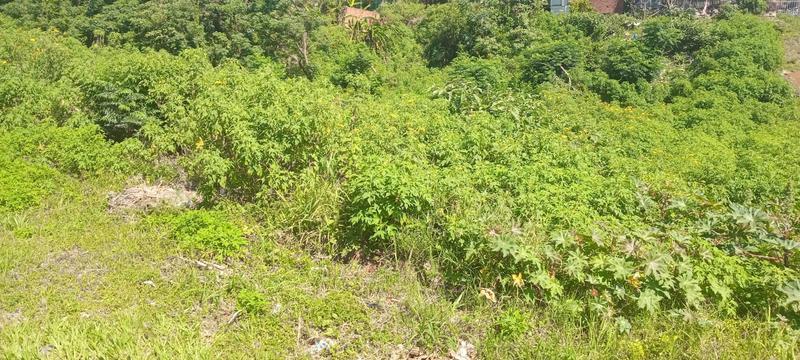 0 Bedroom Property for Sale in Reservoir Hills KwaZulu-Natal