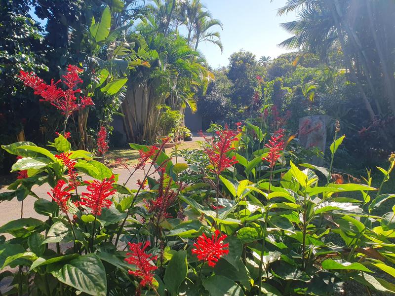 6 Bedroom Property for Sale in Umtentweni KwaZulu-Natal