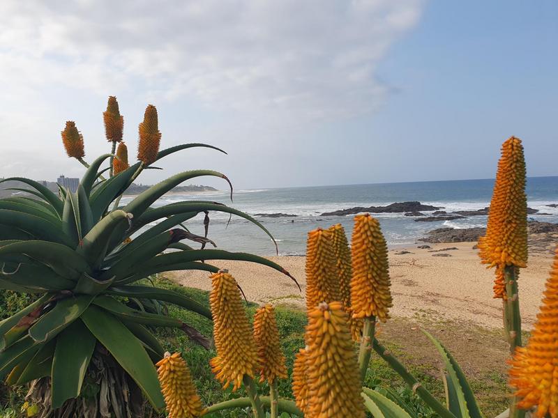 6 Bedroom Property for Sale in Umtentweni KwaZulu-Natal