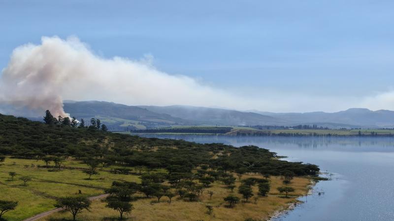 0 Bedroom Property for Sale in Albert Falls KwaZulu-Natal