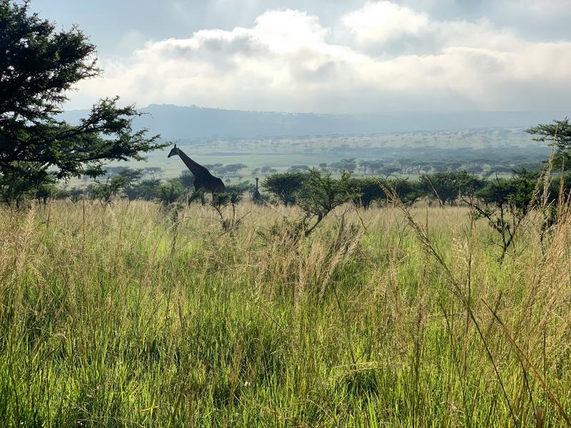 0 Bedroom Property for Sale in Albert Falls KwaZulu-Natal