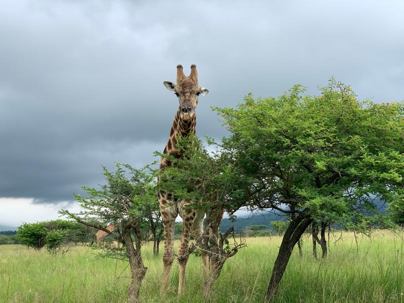 0 Bedroom Property for Sale in Albert Falls KwaZulu-Natal