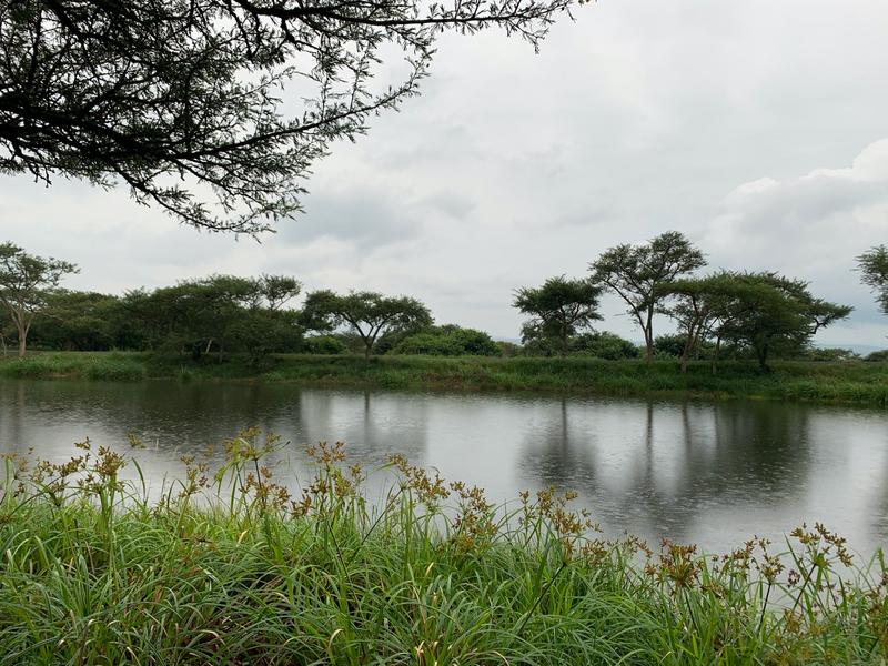 0 Bedroom Property for Sale in Albert Falls KwaZulu-Natal