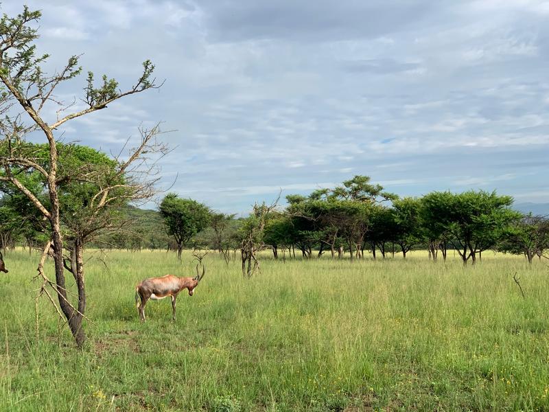 0 Bedroom Property for Sale in Albert Falls KwaZulu-Natal