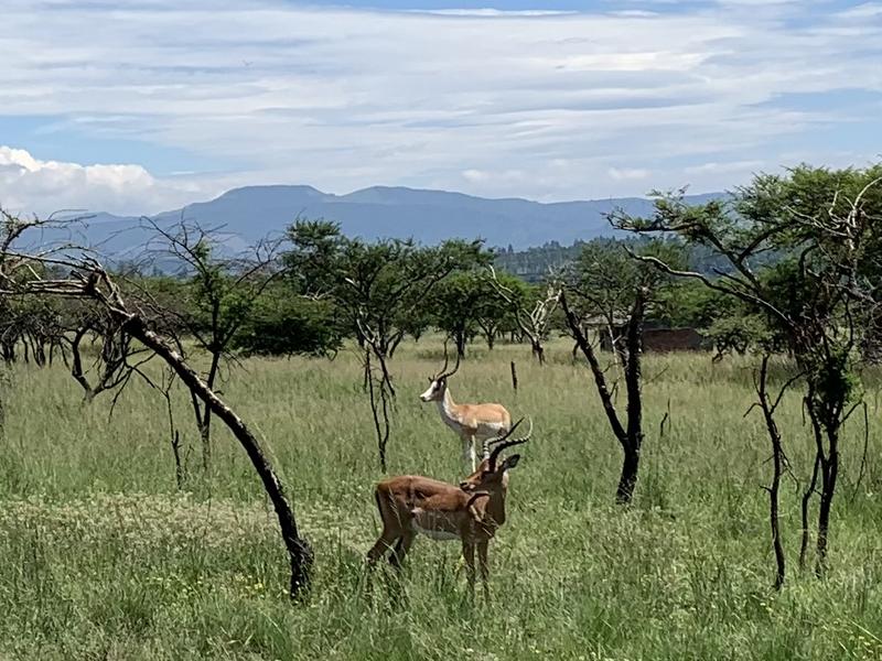 0 Bedroom Property for Sale in Albert Falls KwaZulu-Natal