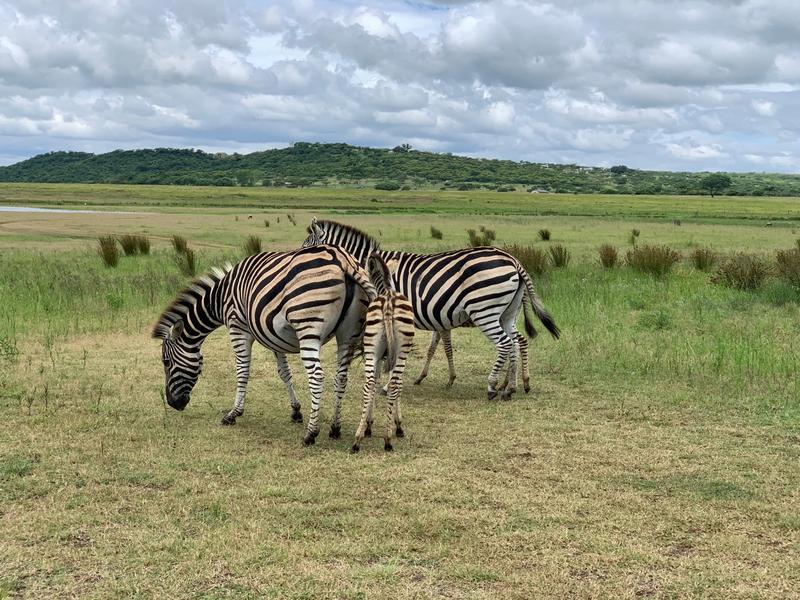 0 Bedroom Property for Sale in Albert Falls KwaZulu-Natal