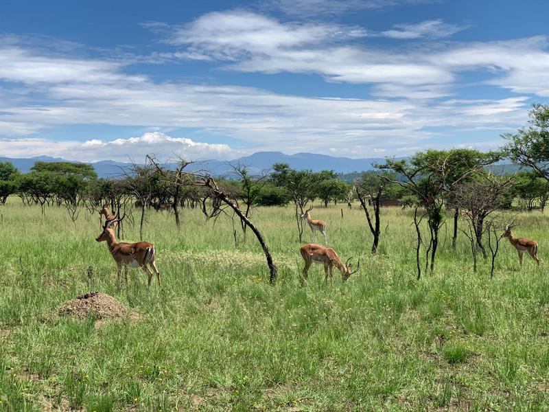 0 Bedroom Property for Sale in Albert Falls KwaZulu-Natal