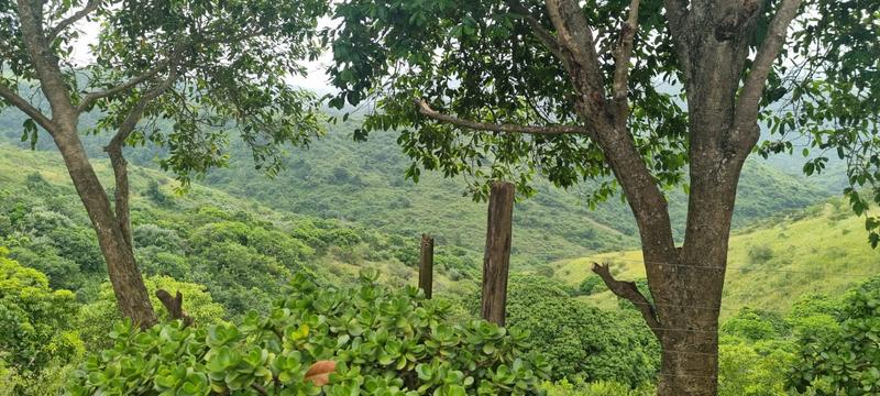 3 Bedroom Property for Sale in Murchison KwaZulu-Natal