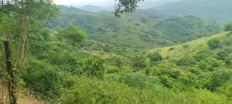 3 Bedroom Property for Sale in Murchison KwaZulu-Natal