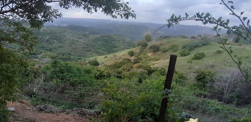 3 Bedroom Property for Sale in Murchison KwaZulu-Natal