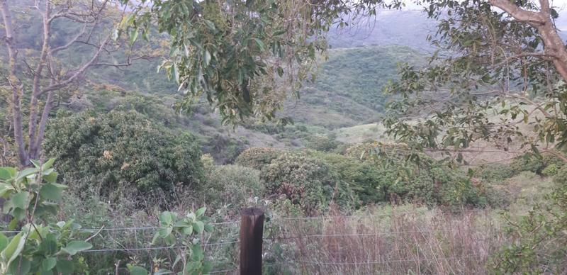 3 Bedroom Property for Sale in Murchison KwaZulu-Natal