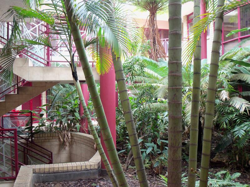 0 Bedroom Property for Sale in Richards Bay KwaZulu-Natal