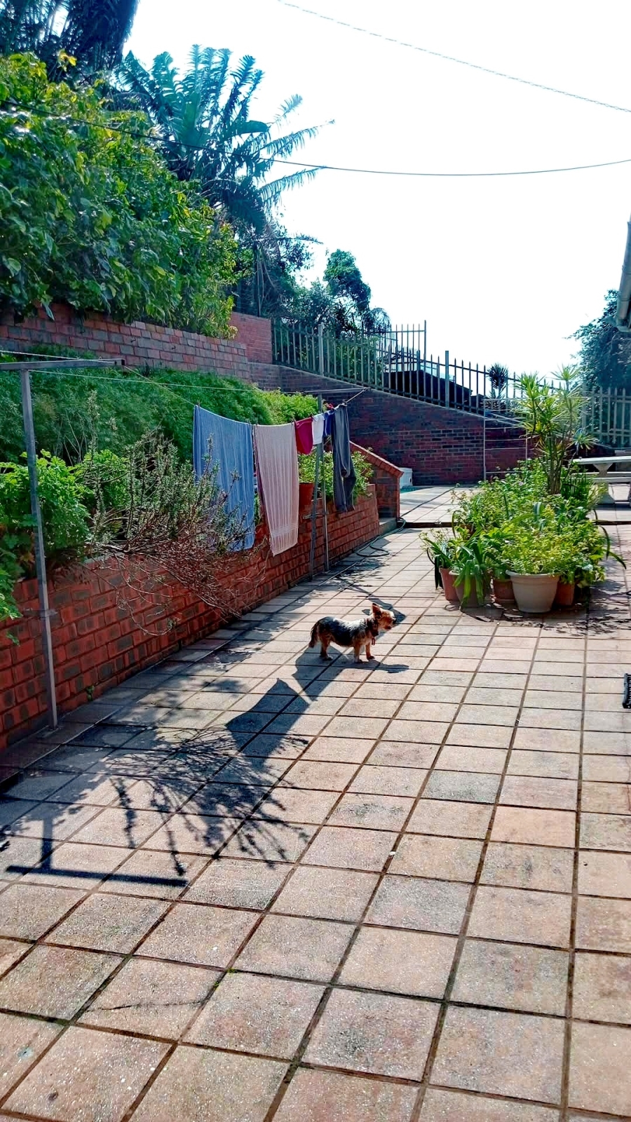 3 Bedroom Property for Sale in Zinkwazi Beach KwaZulu-Natal
