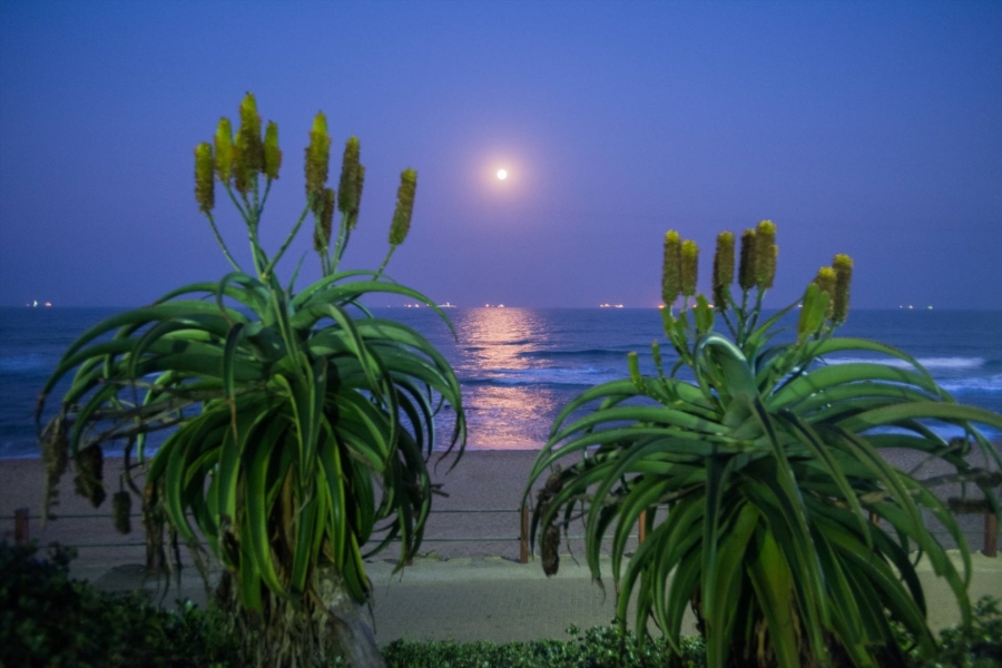 0 Bedroom Property for Sale in Umhlanga KwaZulu-Natal