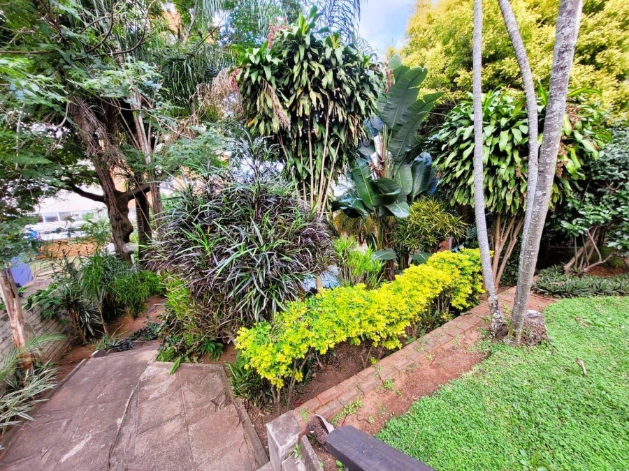 To Let 2 Bedroom Property for Rent in Musgrave KwaZulu-Natal