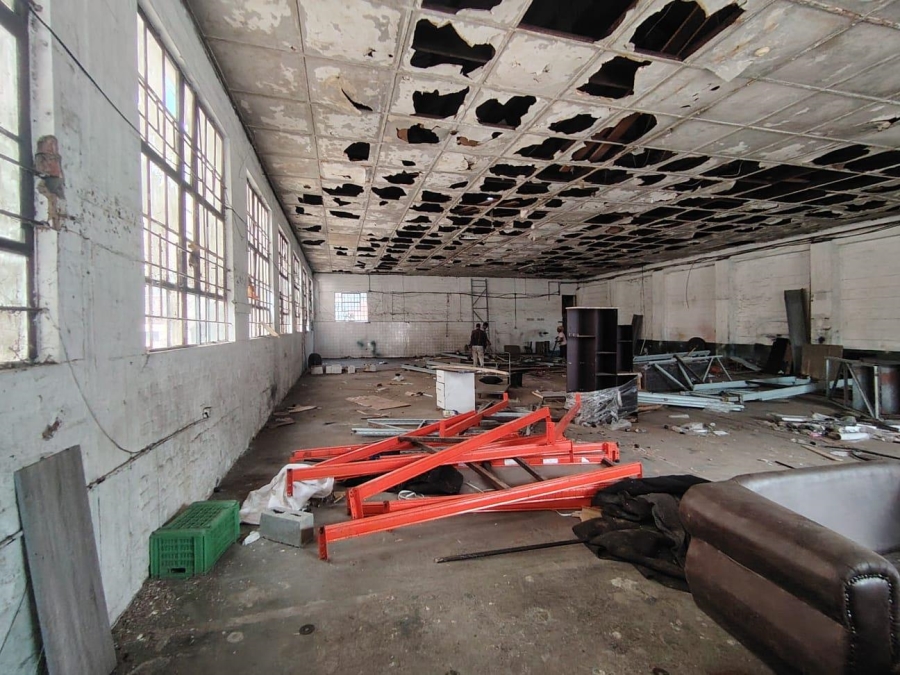 To Let commercial Property for Rent in Umbilo KwaZulu-Natal