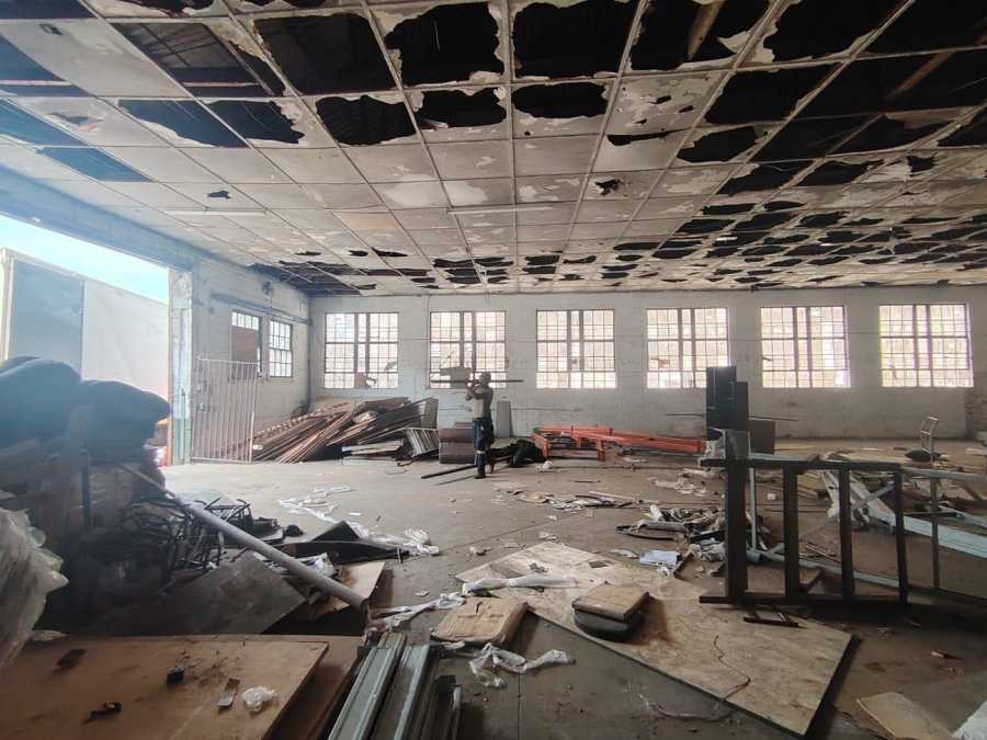 To Let commercial Property for Rent in Umbilo KwaZulu-Natal