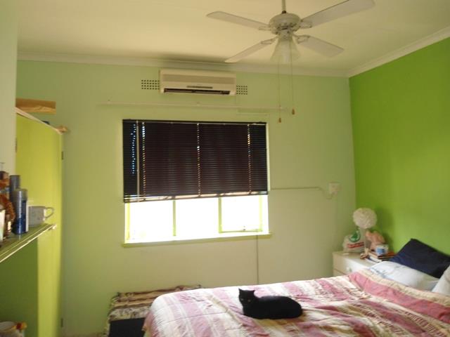 To Let 3 Bedroom Property for Rent in Arboretum KwaZulu-Natal