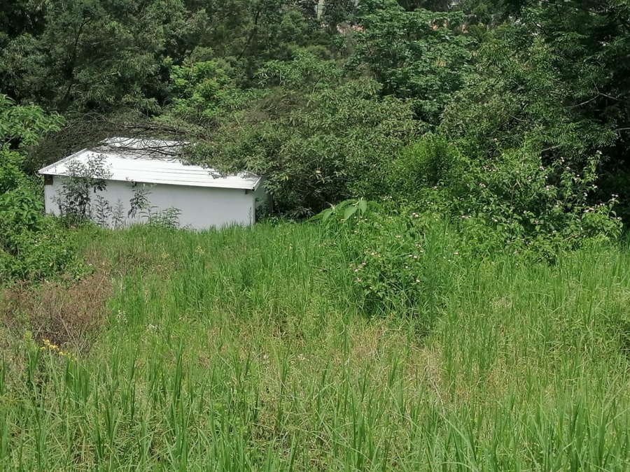 4 Bedroom Property for Sale in Drummond KwaZulu-Natal