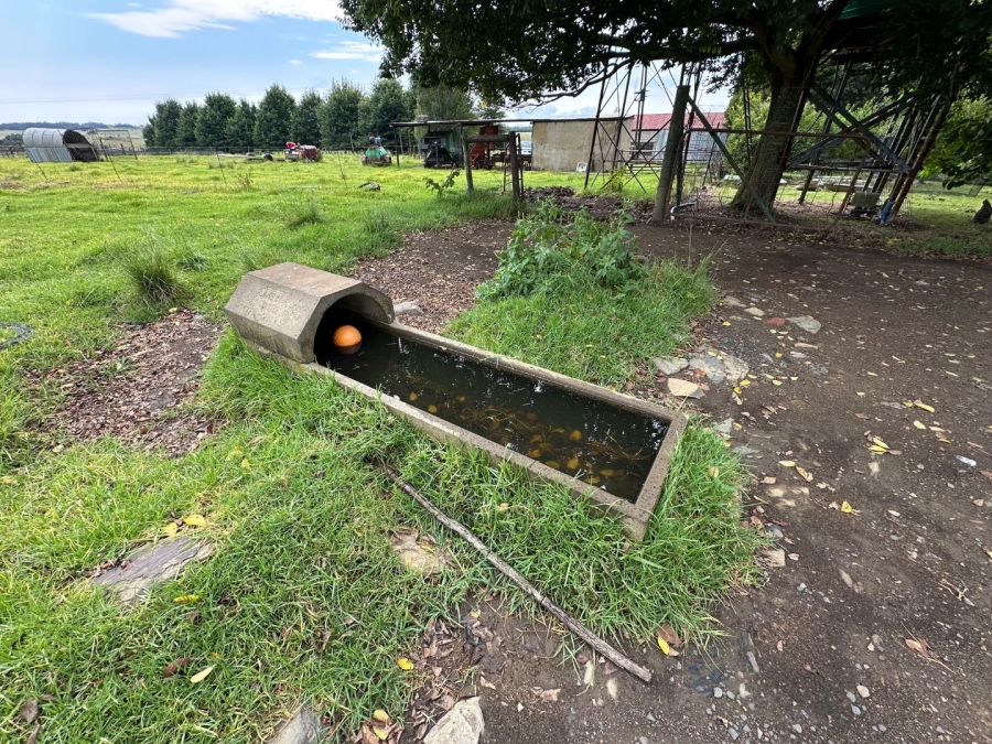 4 Bedroom Property for Sale in Dundee KwaZulu-Natal