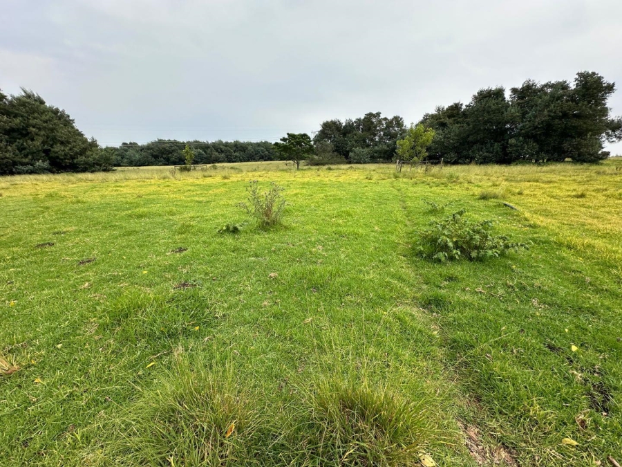 4 Bedroom Property for Sale in Dundee KwaZulu-Natal