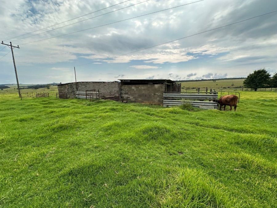 4 Bedroom Property for Sale in Dundee KwaZulu-Natal