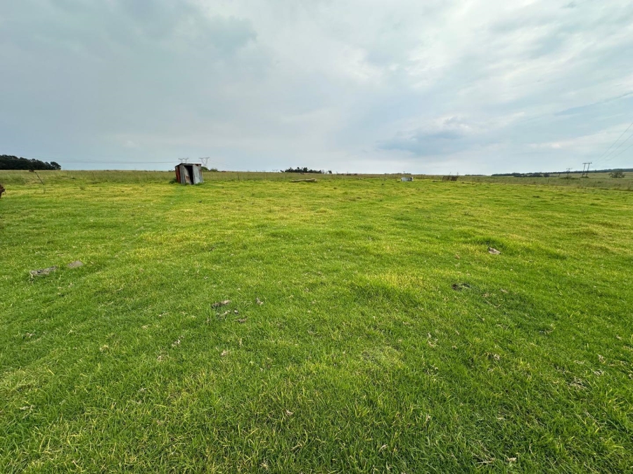 4 Bedroom Property for Sale in Dundee KwaZulu-Natal