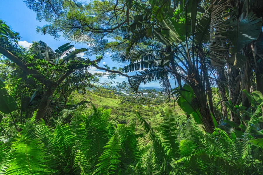 7 Bedroom Property for Sale in Kloof KwaZulu-Natal