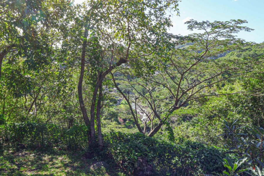 2 Bedroom Property for Sale in Escombe KwaZulu-Natal