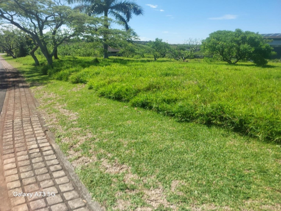 0 Bedroom Property for Sale in Palm Lakes Estate KwaZulu-Natal