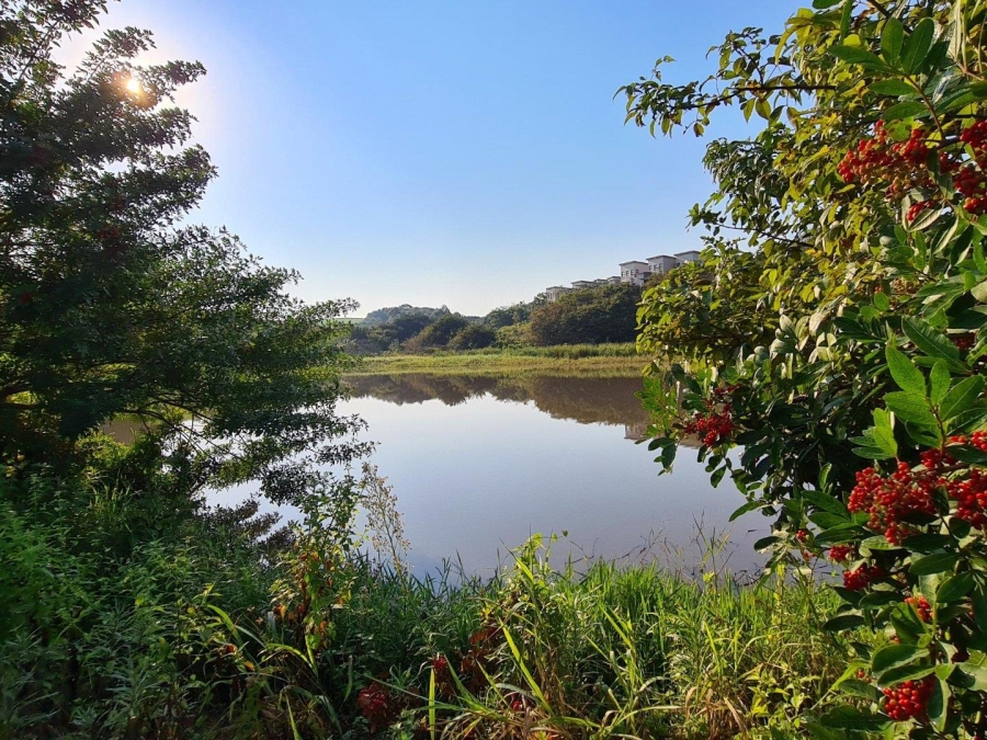 3 Bedroom Property for Sale in Palm Lakes Estate KwaZulu-Natal