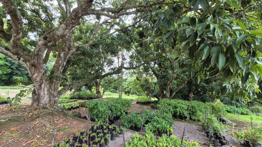 4 Bedroom Property for Sale in Shakaskraal KwaZulu-Natal