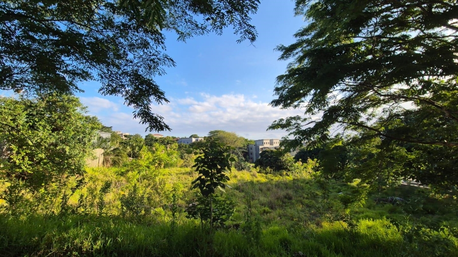 0 Bedroom Property for Sale in Palm Lakes Estate KwaZulu-Natal