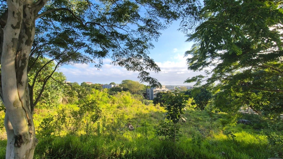 0 Bedroom Property for Sale in Palm Lakes Estate KwaZulu-Natal