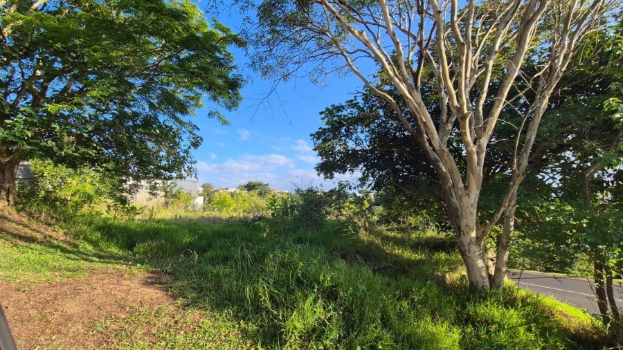 0 Bedroom Property for Sale in Palm Lakes Estate KwaZulu-Natal