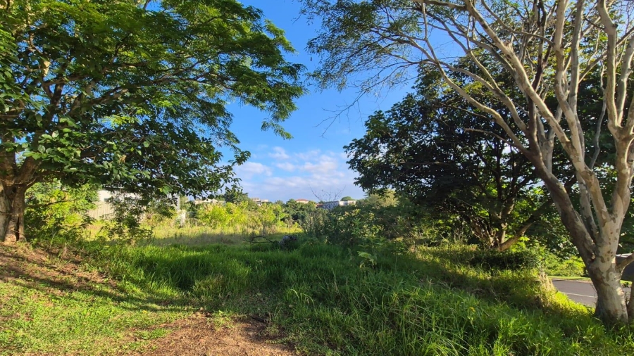 0 Bedroom Property for Sale in Palm Lakes Estate KwaZulu-Natal