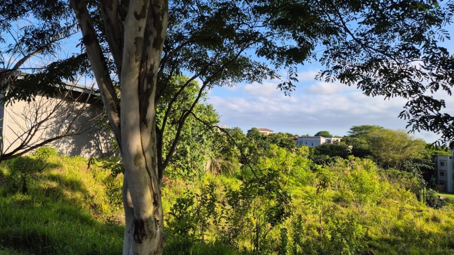 0 Bedroom Property for Sale in Palm Lakes Estate KwaZulu-Natal