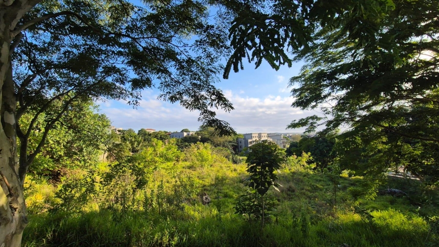 0 Bedroom Property for Sale in Palm Lakes Estate KwaZulu-Natal