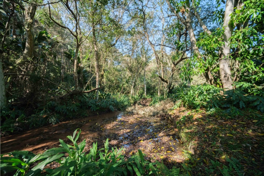 9 Bedroom Property for Sale in Waterfall KwaZulu-Natal