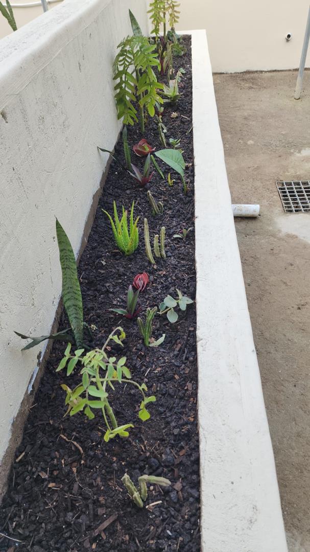 To Let 2 Bedroom Property for Rent in Mount Moreland KwaZulu-Natal