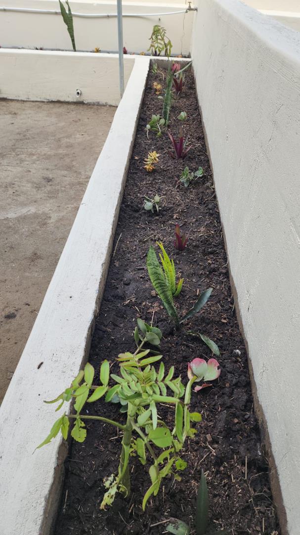 To Let 2 Bedroom Property for Rent in Mount Moreland KwaZulu-Natal