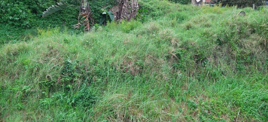 0 Bedroom Property for Sale in Umdloti KwaZulu-Natal