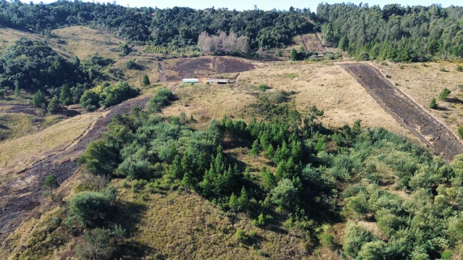 3 Bedroom Property for Sale in Balgowan KwaZulu-Natal
