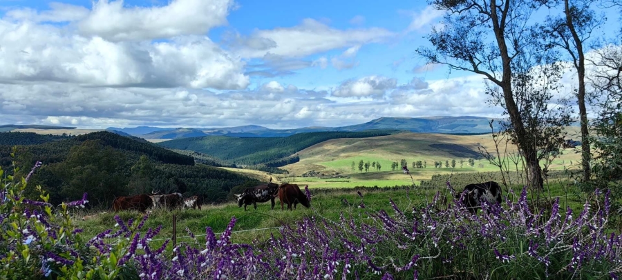 14 Bedroom Property for Sale in Howick Rural KwaZulu-Natal